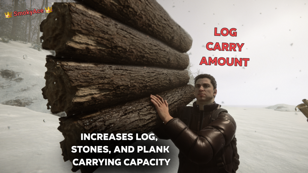 LogCarryAmount