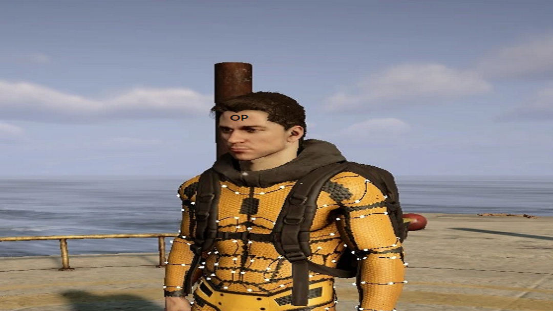 NanoSuit